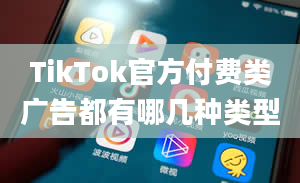 TikTok官方付费类广告都有哪几种类型