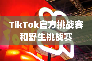 TikTok官方挑战赛和野生挑战赛