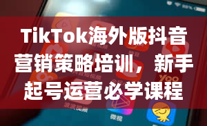 TikTok海外版抖音营销策略培训，新手起号运营必学课程