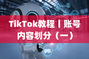 TikTok教程丨账号内容划分（一）