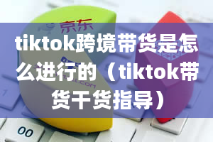 tiktok跨境带货是怎么进行的（tiktok带货干货指导）