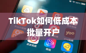 TikTok如何低成本批量开户