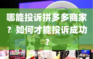 哪能投诉拼多多商家？如何才能投诉成功？