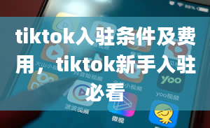 tiktok入驻条件及费用，tiktok新手入驻必看