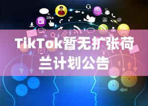 TikTok暂无扩张荷兰计划公告