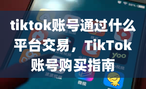 tiktok账号通过什么平台交易，TikTok账号购买指南