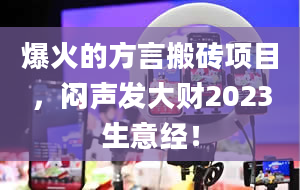 爆火的方言搬砖项目，闷声发大财2023生意经！