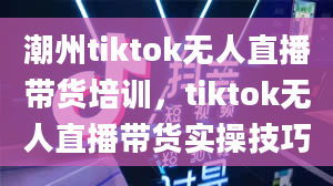 潮州tiktok无人直播带货培训，tiktok无人直播带货实操技巧