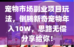 宠物市场副业项目玩法，倒腾新奇宠物年入10W，思路无偿分享给你！