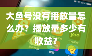 大鱼号没有播放量怎么办？播放量多少有收益？