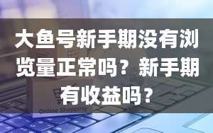 大鱼号新手期没有浏览量正常吗？新手期有收益吗？