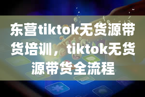 东营tiktok无货源带货培训，tiktok无货源带货全流程