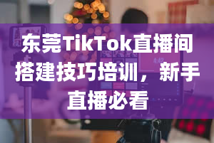 东莞TikTok直播间搭建技巧培训，新手直播必看