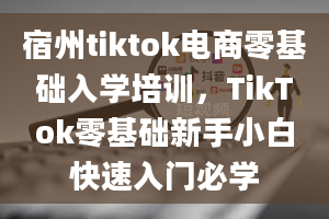 宿州tiktok电商零基础入学培训，TikTok零基础新手小白快速入门必学