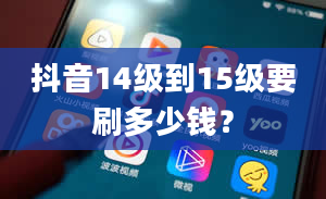 抖音14级到15级要刷多少钱？