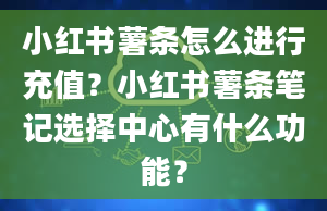 小红书薯条怎么进行充值？小红书薯条笔记选择中心有什么功能？