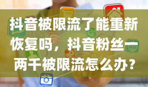 抖音被限流了能重新恢复吗，抖音粉丝一两千被限流怎么办？