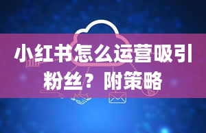 小红书怎么运营吸引粉丝？附策略