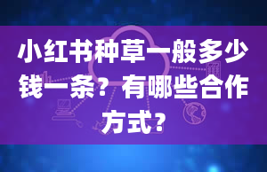 小红书种草一般多少钱一条？有哪些合作方式？