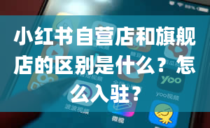 小红书自营店和旗舰店的区别是什么？怎么入驻？