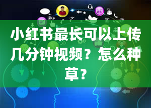 小红书最长可以上传几分钟视频？怎么种草？