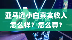 亚马逊小白真实收入怎么样？怎么算？