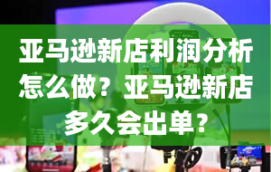 亚马逊新店利润分析怎么做？亚马逊新店多久会出单？