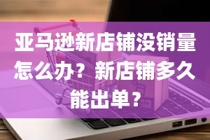 亚马逊新店铺没销量怎么办？新店铺多久能出单？