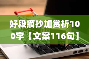 好段摘抄加赏析100字【文案116句】