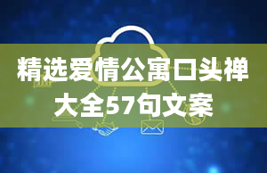 精选爱情公寓口头禅大全57句文案