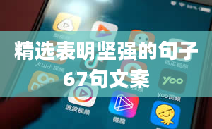 精选表明坚强的句子67句文案