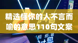 精选懂你的人不言而喻的意思110句文案