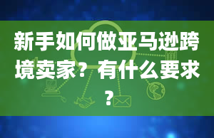 新手如何做亚马逊跨境卖家？有什么要求？