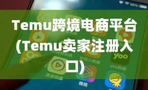 Temu跨境电商平台(Temu卖家注册入口)