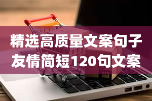 精选高质量文案句子友情简短120句文案