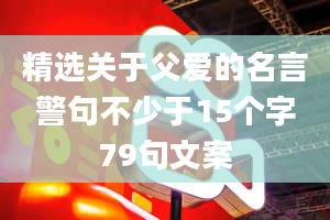 精选关于父爱的名言警句不少于15个字79句文案