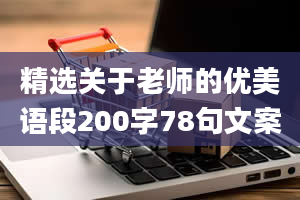 精选关于老师的优美语段200字78句文案