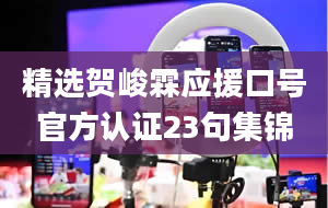 精选贺峻霖应援口号官方认证23句集锦