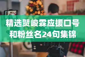 精选贺峻霖应援口号和粉丝名24句集锦