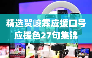 精选贺峻霖应援口号应援色27句集锦