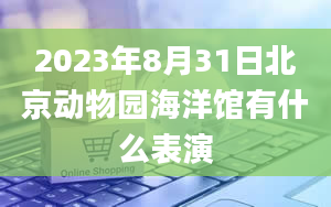 2023年8月31日北京动物园海洋馆有什么表演