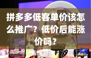 拼多多低客单价该怎么推广？低价后能涨价吗？