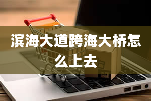 滨海大道跨海大桥怎么上去