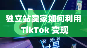 独立站卖家如何利用 TikTok 变现