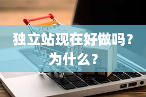 独立站现在好做吗？为什么？