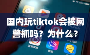 国内玩tiktok会被网警抓吗？为什么？