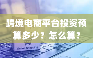 跨境电商平台投资预算多少？怎么算？