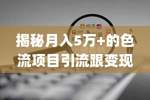 揭秘月入5万+的色流项目引流跟变现