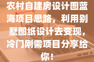 农村自建房设计图蓝海项目思路，利用别墅图纸设计去变现，冷门刚需项目分享给你！