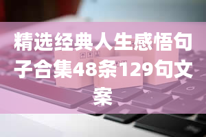 精选经典人生感悟句子合集48条129句文案